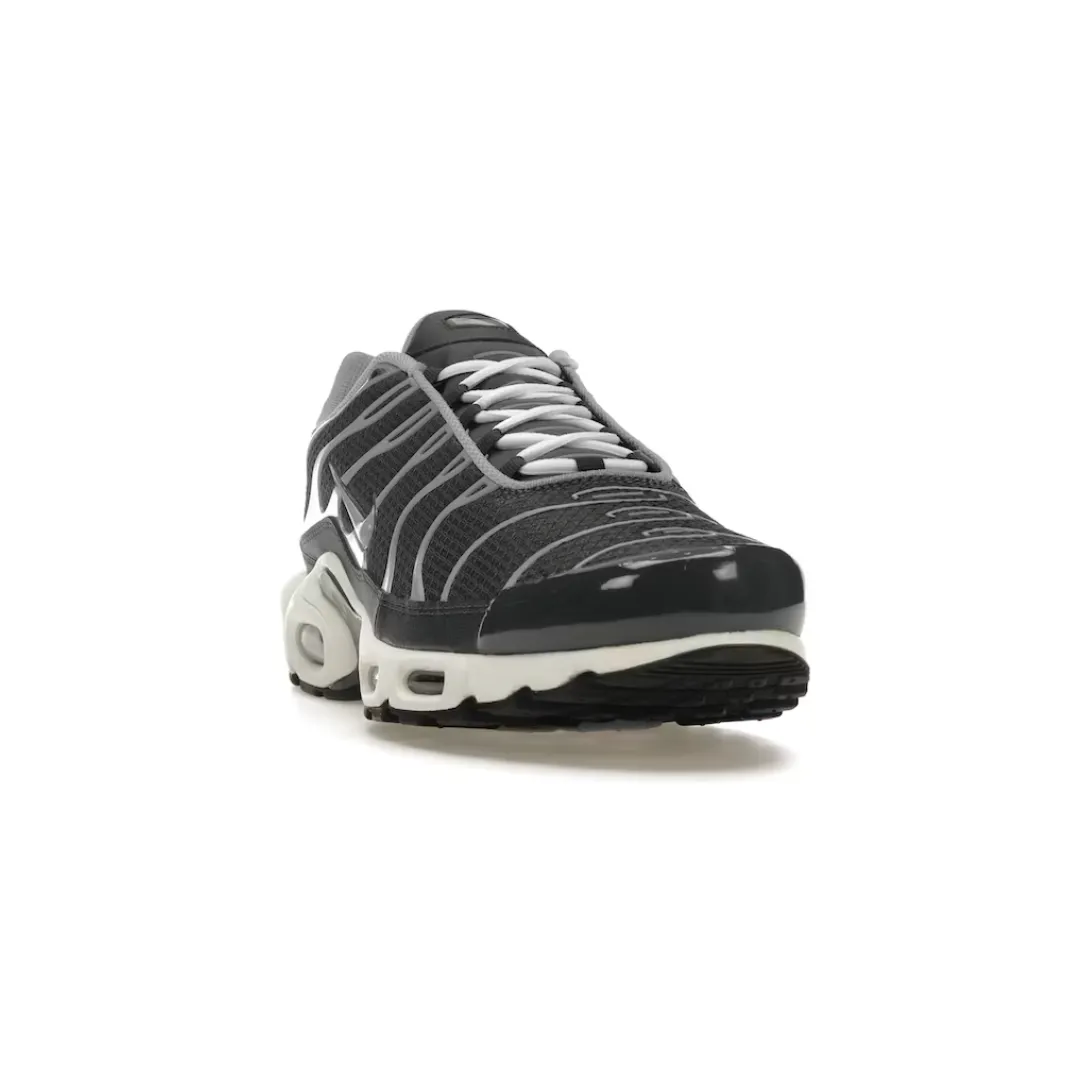 Nike Air Max Plus Greyscale Cool Grey