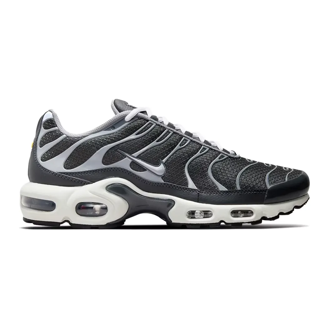 Nike Air Max Plus Greyscale Cool Grey